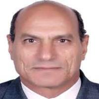 السرد الروائي وتداخل الأنواع: د. عبد الرحيم الكردي